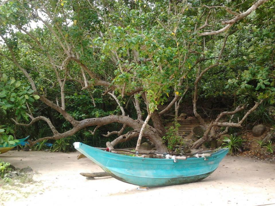 Sleepy Head Guesthouse Unawatuna Ngoại thất bức ảnh