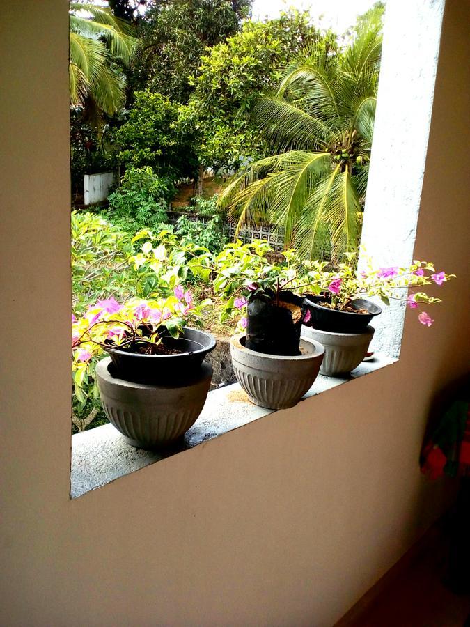 Sleepy Head Guesthouse Unawatuna Ngoại thất bức ảnh